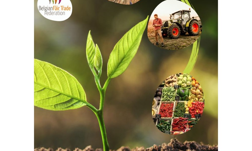 Nouvelle brochure de sensibilisation de la campagne "Le commerce équitable, levier de la transition écologique et sociale" !