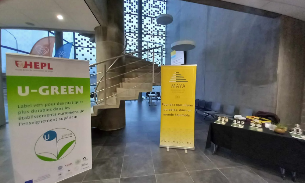 Stand de sensibilisation et dégustation de l'ONG Miel Maya Honing lors de l'événement Ugreen de l'HEPL (14/12/2023)